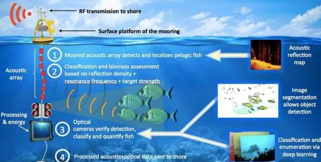 6500va水声功率放大器如何驱动换能器进行鱼群探测？